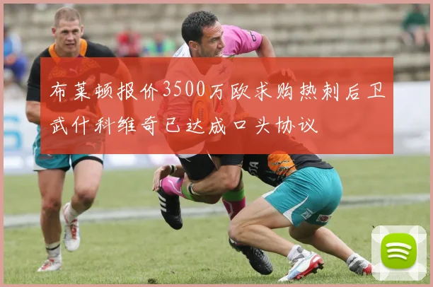 布莱顿报价3500万欧求购热刺后卫武什科维奇已达成口头协议