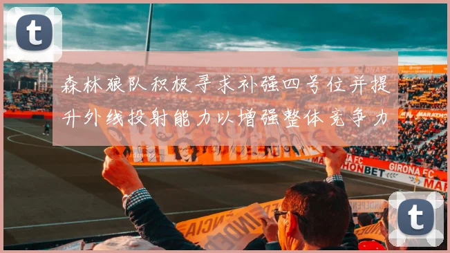 森林狼队积极寻求补强四号位并提升外线投射能力以增强整体竞争力